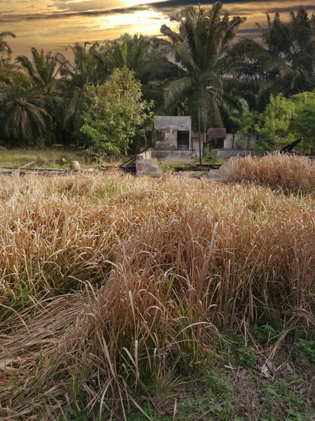 Impresionante Escena Del Cielo Casa Abandonada Alrededor Del Campo Hierba —  Fotos de Stock