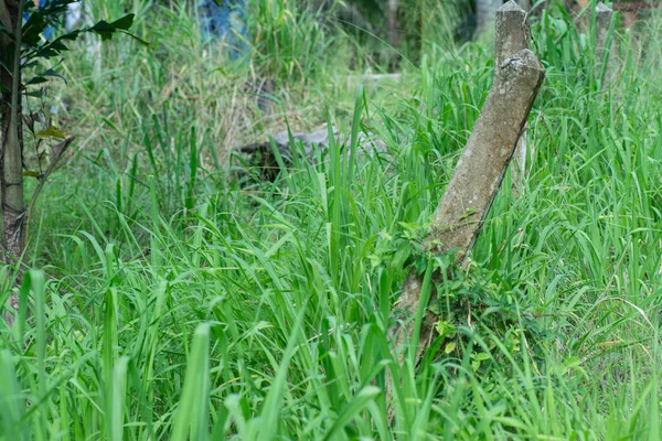 Poste Cuadrado Hormigón Envejecido Campo —  Fotos de Stock