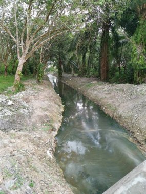 İnsanoğlu tarım arazisi boyunca drenaj sistemi yaptı.