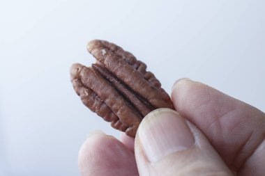 Besleyici yenilebilir taze kavrulmuş ceviz