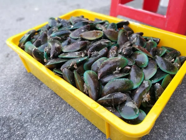 Sacco Oyster Cozze Nere Blu — Foto Stock