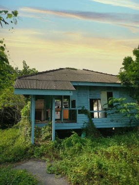 Terk edilmiş eski hükümet konutlarında aşırı büyüme 
