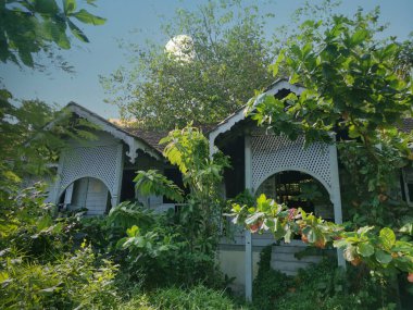 Terk edilmiş eski hükümet konutlarında aşırı büyüme 