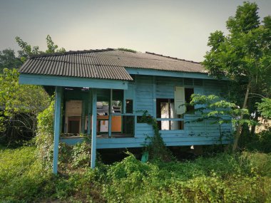 Terk edilmiş eski hükümet konutlarında aşırı büyüme 