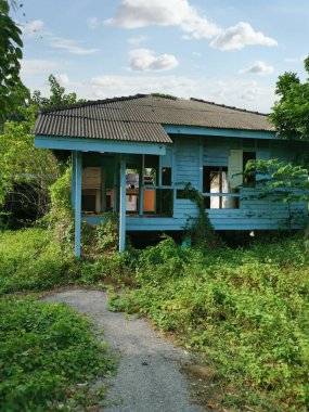 Terk edilmiş eski hükümet konutlarında aşırı büyüme 