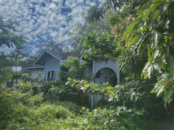 Overgrowth Old Abandoned Government Quarters — Stock Photo, Image