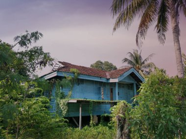 Terk edilmiş eski hükümet bölgesinde aşırı büyüme