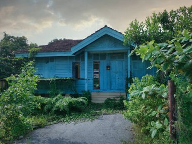 Terk edilmiş eski hükümet bölgesinde aşırı büyüme