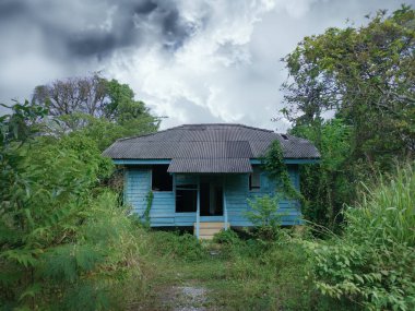 Terk edilmiş eski hükümet bölgesinde aşırı büyüme
