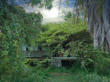 Terk edilmiş eski hükümet bölgesinde aşırı büyüme