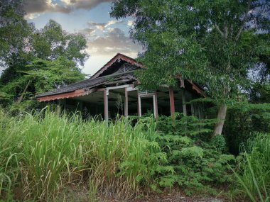 Terk edilmiş eski hükümet bölgesinde aşırı büyüme
