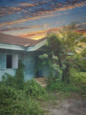 Terk edilmiş eski hükümet bölgesinde aşırı büyüme