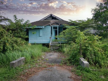 Terk edilmiş eski hükümet bölgesinde aşırı büyüme