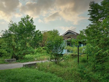 Terk edilmiş eski hükümet bölgesinde aşırı büyüme