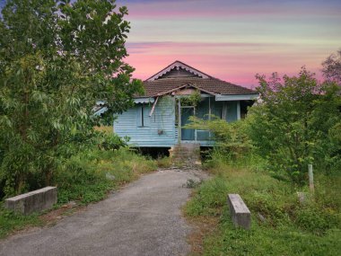 Terk edilmiş eski hükümet bölgesinde aşırı büyüme