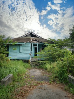 Terk edilmiş eski hükümet bölgesinde aşırı büyüme