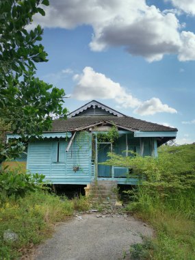 Terk edilmiş eski hükümet bölgesinde aşırı büyüme