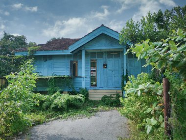 Terk edilmiş eski hükümet bölgesinde aşırı büyüme