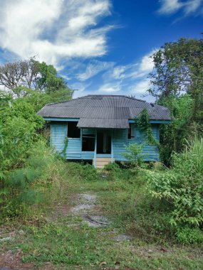 Terk edilmiş eski hükümet bölgesinde aşırı büyüme