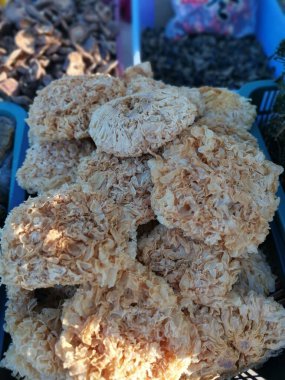 Yakın çekim bir rulo kurutulmuş sarı mantar