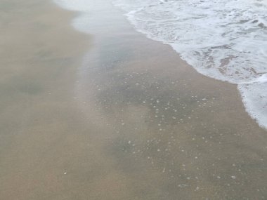 Sahilde deniz dalgaları..