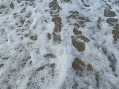 Sahilde deniz dalgaları..