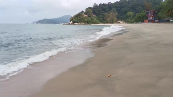 Escena Diurna Durante Marea Alta Cuando Ola Del Mar Mueve — Vídeos de Stock