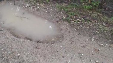 Yağmurdan sonraki kırsal yolun görüntüleri..