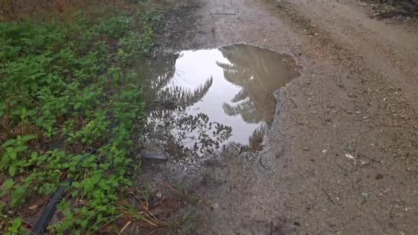 Bilder Landsvägen Efter Regnet — Stockvideo