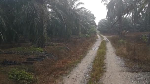 Imágenes Carretera Rural Después Lluvia — Vídeo de stock