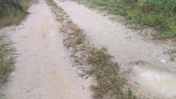 Πλάνα Από Την Αγροτική Ύπαιθρο Δρόμο Μετά Βροχή — Αρχείο Βίντεο
