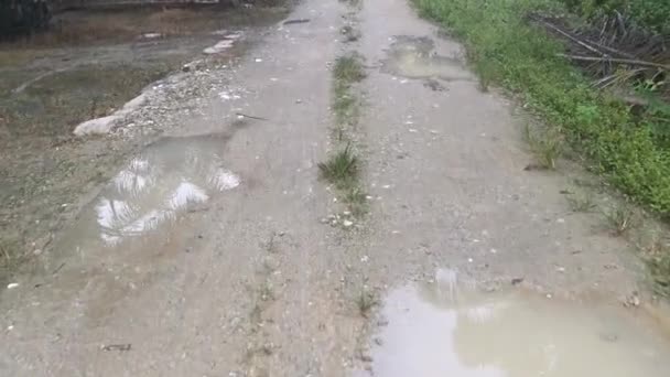 Кадры Сельской Дороги После Дождя — стоковое видео
