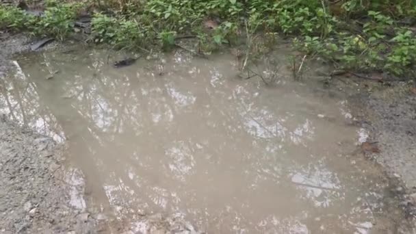 Imágenes Carretera Rural Después Lluvia — Vídeos de Stock