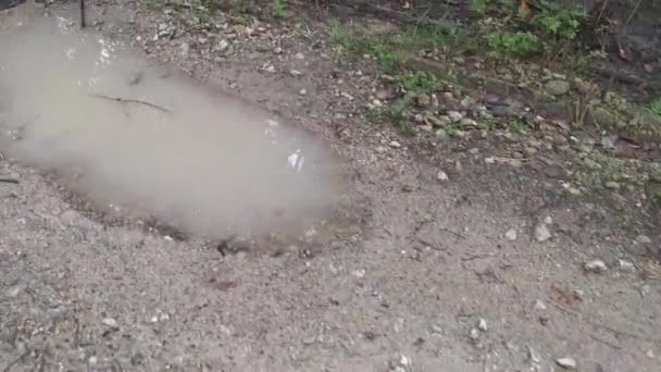 Imágenes Carretera Rural Después Lluvia — Vídeos de Stock