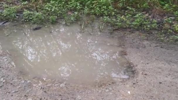 Imágenes Carretera Rural Después Lluvia — Vídeos de Stock