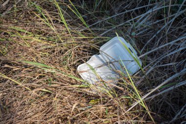 Çalılıklara atılmış beyaz polistiren beslenme çantası kullanılmış..