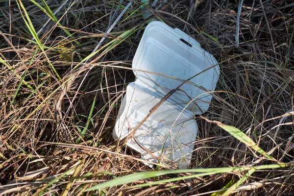 用白色聚苯乙烯午餐盒扔在灌木丛中 — 图库照片