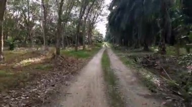 Vahşi çiftlik çakıl yolunda yürürken görüntüler hipersüratli..