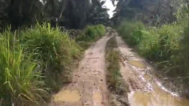 Cena Imagens Hiperlapso Caminhar Para Estrada Cascalho Fazenda Plantação Selvagem — Vídeo de Stock