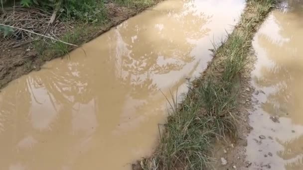雨后在乡郊沙石路上的水坑片段 — 图库视频影像