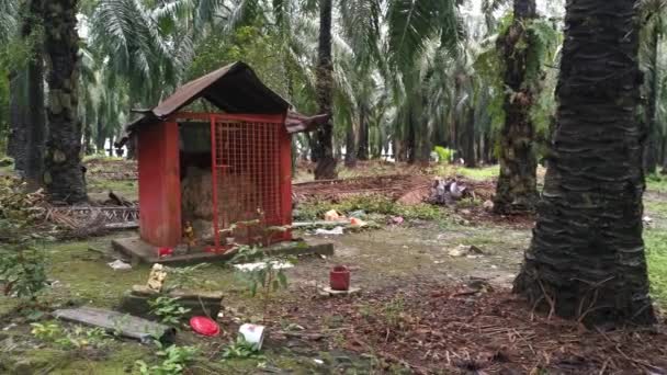 Perak Malaysia September 2020 Miniaturaltar Aus Beton Der Plantage Errichtet — Stockvideo
