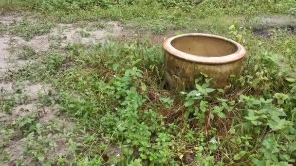 Aufnahmen Einer Weggeworfenen Braunen Keramik Urne Die Der Wilden Plantage — Stockvideo