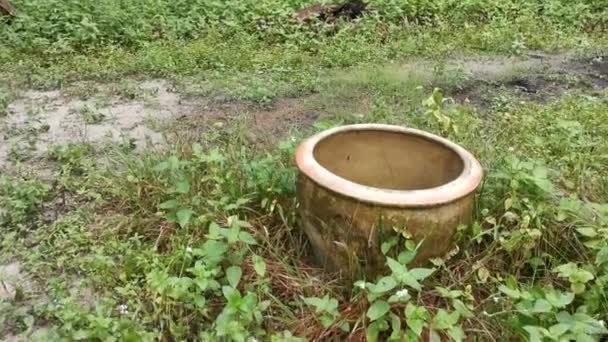 Imagens Urna Cerâmica Marrom Jogado Fora Deixado Plantação Selvagem — Vídeo de Stock