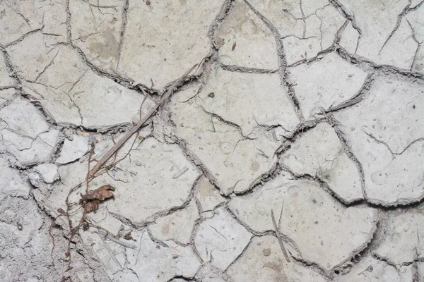 俯瞰地面干裂的泥巴表面 — 图库照片