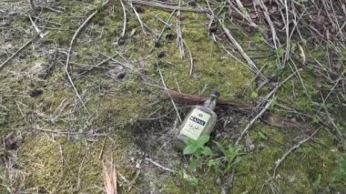 Perak, Malezya. 16 Eylül 2020: Sorumsuz biri Kampong Koh Oil Palm Plantasyonu 'ndaki palmiye yağı sahasına 