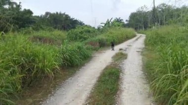 Elektrik kulesinin görüntüleri ve sabah gökyüzü sahnesi..