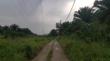 Elektrik kulesinin görüntüleri ve sabah gökyüzü sahnesi..