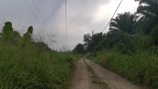 Rekaman Menara Listrik Dan Itu Adegan Langit Pagi — Stok Video