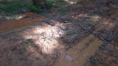 Çiftlikteki çamurlu patika alanının görüntüleri..