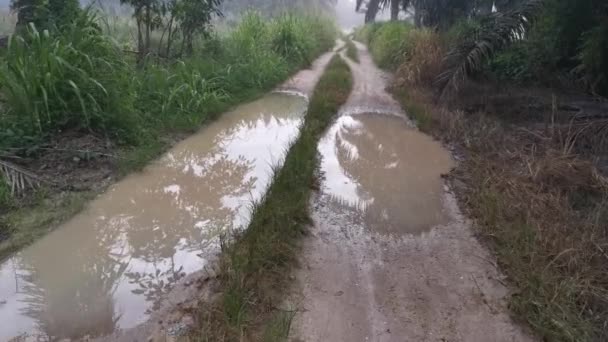 雨后在乡郊沙石路上积水的镜头 — 图库视频影像